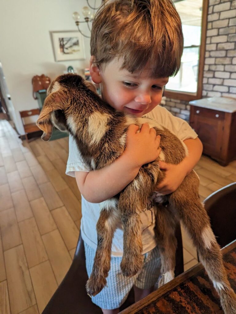 goats for sale near me